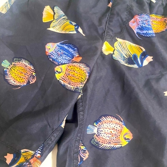 Old Navy Boys Medium Swimming Trunks Angelfish Print Design Gray with Drawstring - Picture 2 of 8